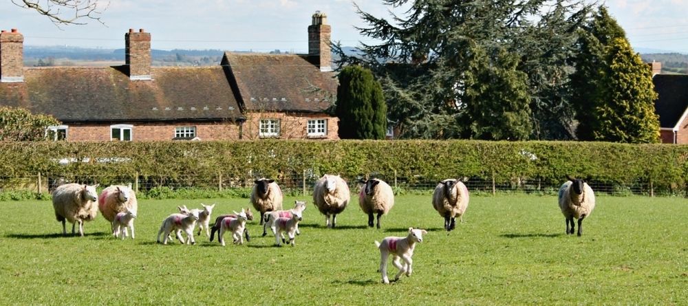 Church Farm B&B Near Telford And Ironbridge Шифнал Екстериор снимка